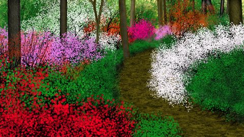 Nature Desktop Wallpaper