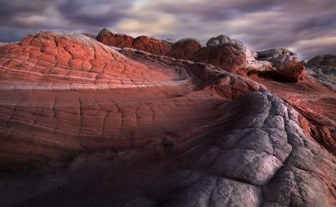 Nature Desktop Wallpaper