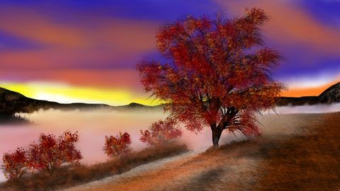 Nature Desktop Wallpaper
