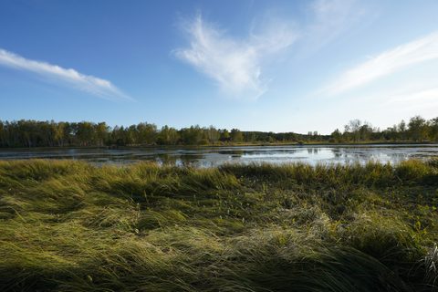 Nature Desktop Wallpaper
