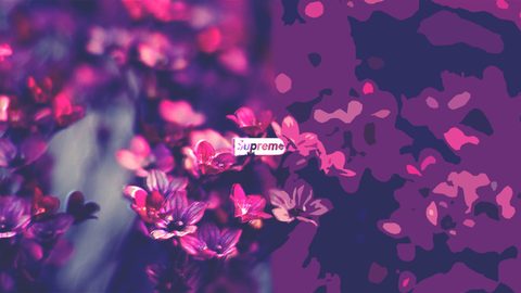 Nature Desktop Wallpaper