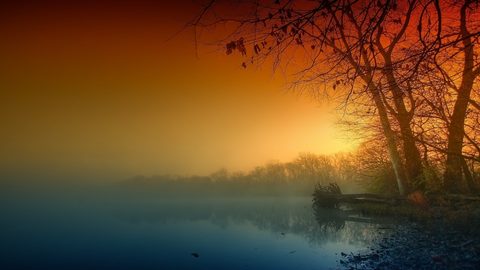 Nature Desktop Wallpaper