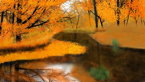 Nature Desktop Wallpaper