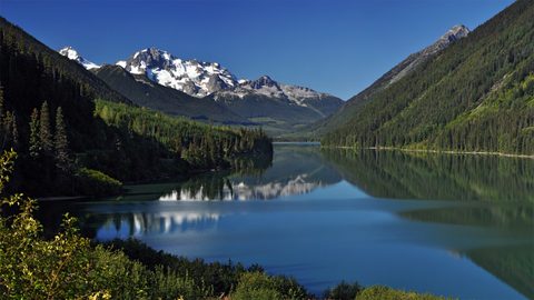 Nature Landscape Forest Mountain