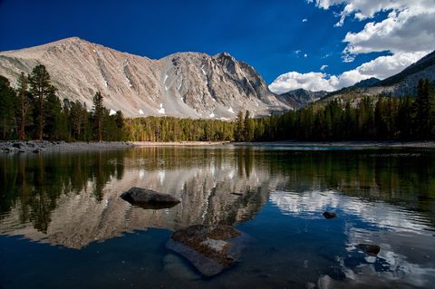 Nature Landscape Forest Mountain
