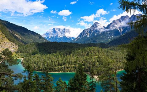 Nature Landscape Forest Mountain