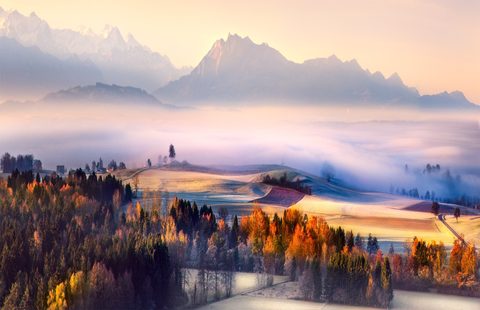 Nature Landscape Forest Mountain
