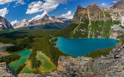 Nature Landscape Forest Mountain