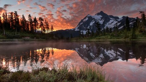 Nature Landscape Forest Mountain
