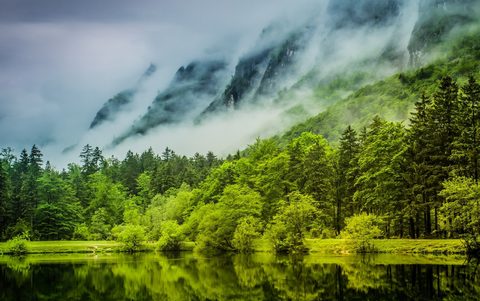 Nature Landscape Forest Mountain