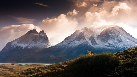 Nature Landscape Forest Mountain