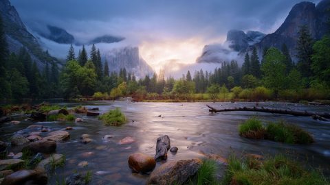 Nature Landscape Forest Mountain