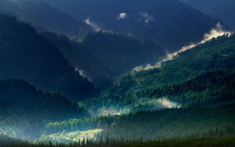 Nature Landscape Forest Mountain
