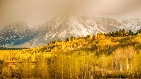 Nature Landscape Forest Mountain