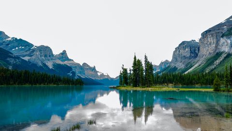 Nature Landscape Forest Mountain