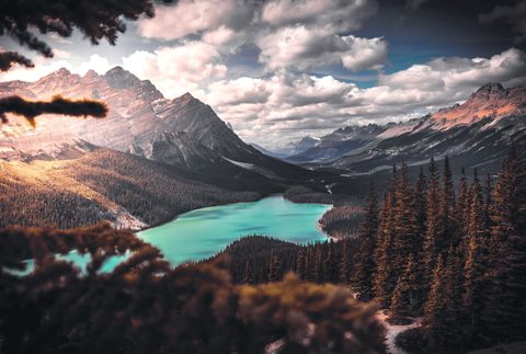 Nature Landscape Forest Mountain