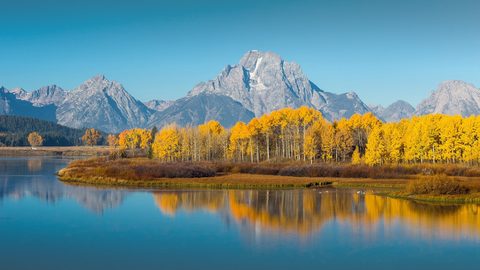 Nature Landscape Forest Mountain