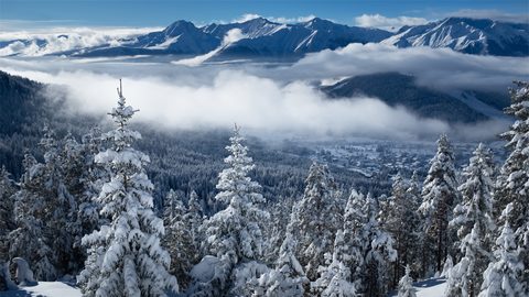 Nature Landscape Forest Mountain