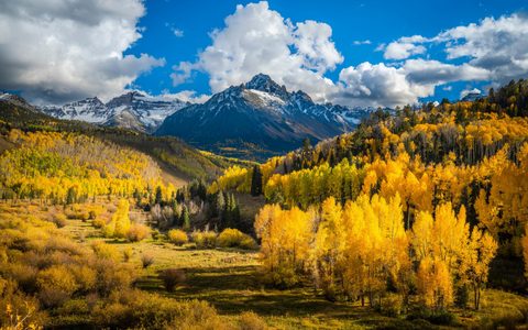 Nature Landscape Forest Mountain