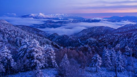 Nature Landscape Forest Mountain