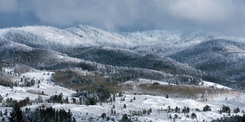 Nature Landscape Forest Mountain