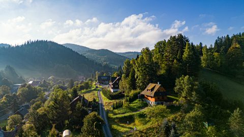 Nature Landscape Forest Mountain