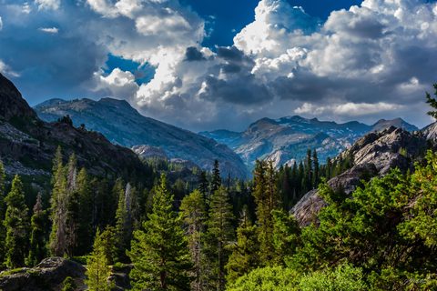 Nature Landscape Forest Mountain