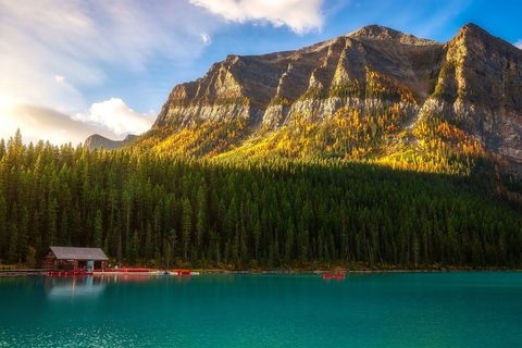 Nature Landscape Forest Mountain