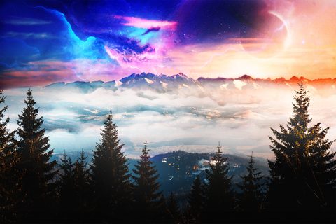 Nature Landscape Forest Mountain