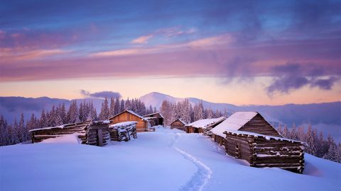 Nature Landscape Forest Mountain