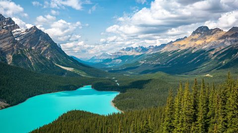 Nature Landscape Forest Mountain