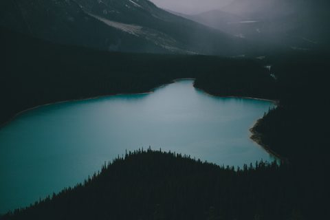 Nature Landscape Forest Mountain