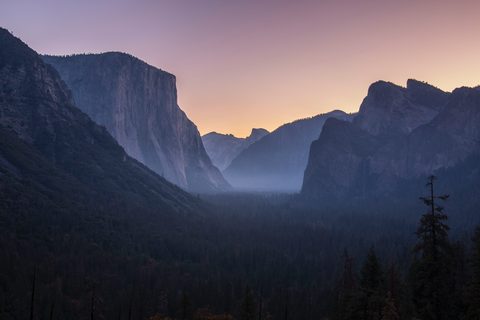Nature Landscape Forest Mountain