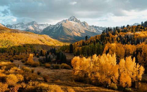 Nature Landscape Forest Mountain