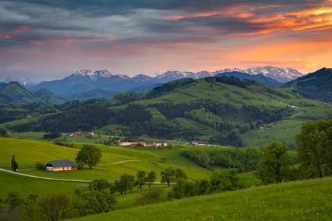 Nature Landscape Forest Mountain