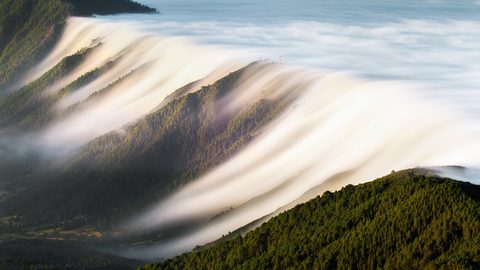 Nature Landscape Forest Mountain