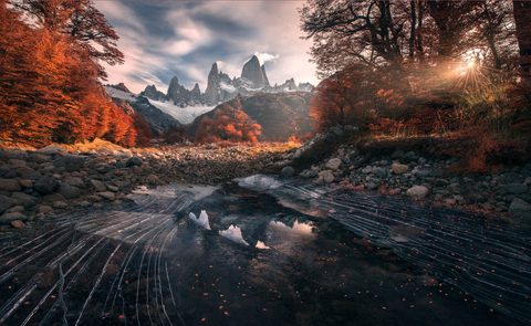 Nature Landscape Forest Mountain