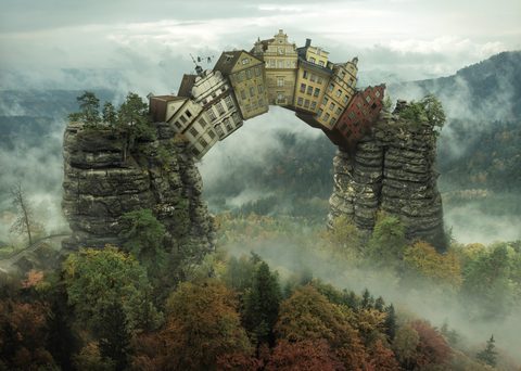 Nature Landscape Forest Mountain