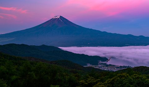 Nature Landscape Forest Mountain
