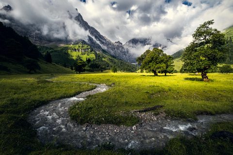 Nature Landscape Forest Mountain