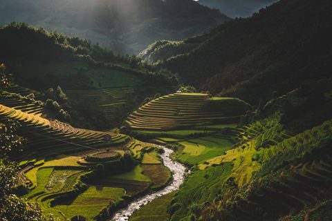 Nature Landscape Forest Mountain