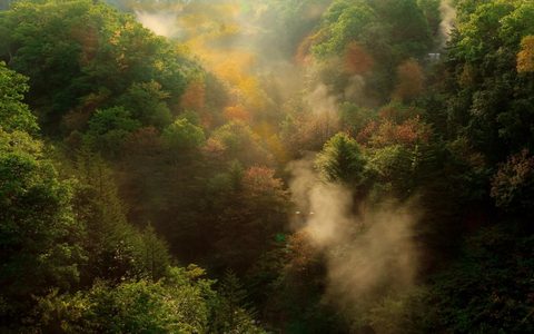 Nature Landscape Forest Mountain