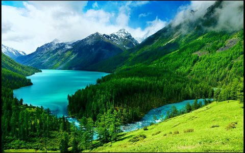 Nature Landscape Forest Mountain