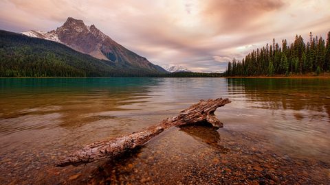 Nature Landscape Forest Mountain