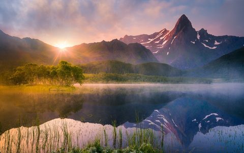 Nature Landscape Forest Mountain