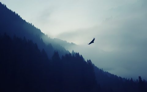 Nature Landscape Forest Mountain