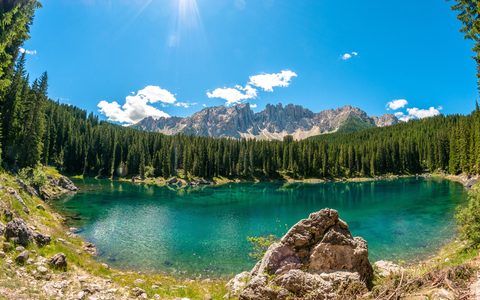 Nature Landscape Forest Mountain