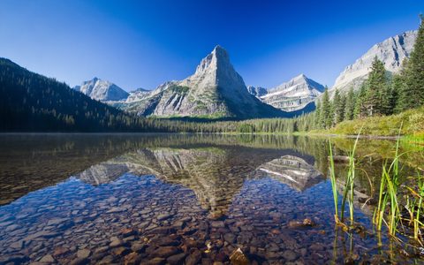 Nature Landscape Forest Mountain