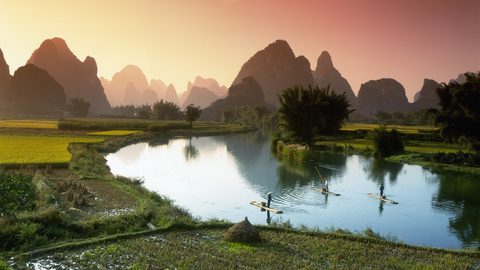 Nature Landscape Forest Mountain