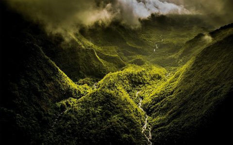 Nature Landscape Forest Mountain